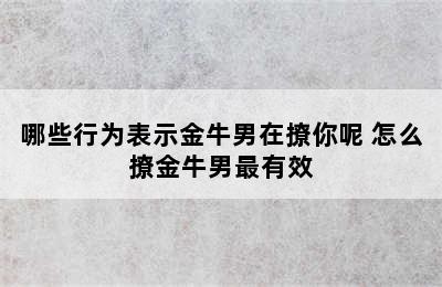 哪些行为表示金牛男在撩你呢 怎么撩金牛男最有效